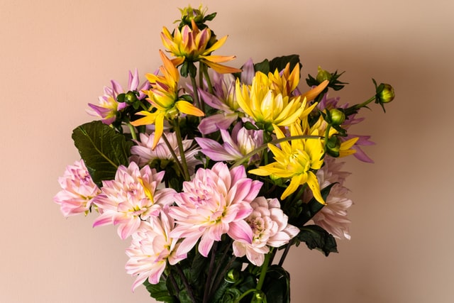 Floral arrangement